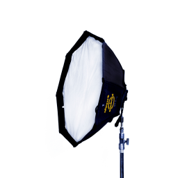 Panaura